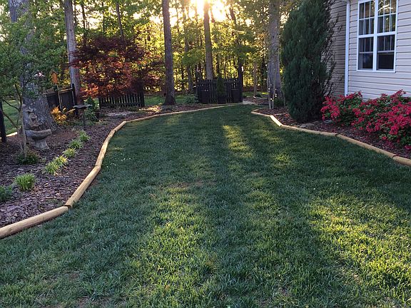 Side yard