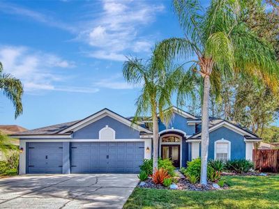 467 Equine Dr, Tarpon Springs, FL, 34688