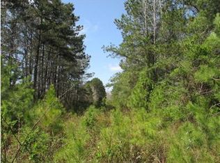 60 Biddle Rd, Sumter, SC 29153