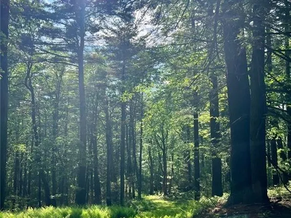 Route 42, Forestburgh, NY 12777