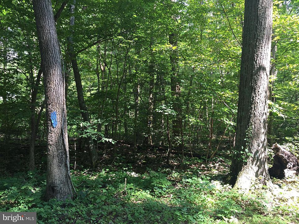 2nd image of Spruce Run Rd