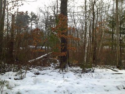 8 Mark Avenue, Derry, NH, 03038