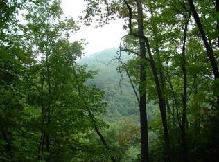 0 Big Bench Rd, Bryson City, NC 28713