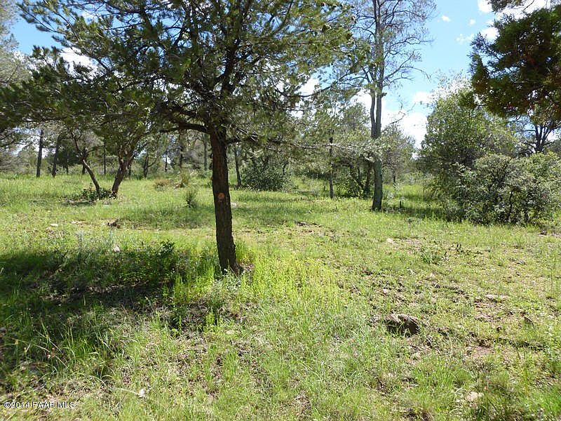 1st image of 218 S Black Forest Cir