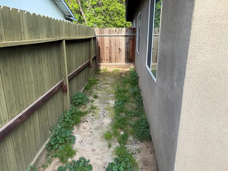 2533 Miller Ave #A — Photo 15