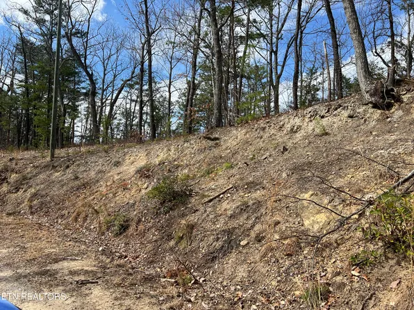 Chestnut Ridge Ct, Sevierville, TN 37876