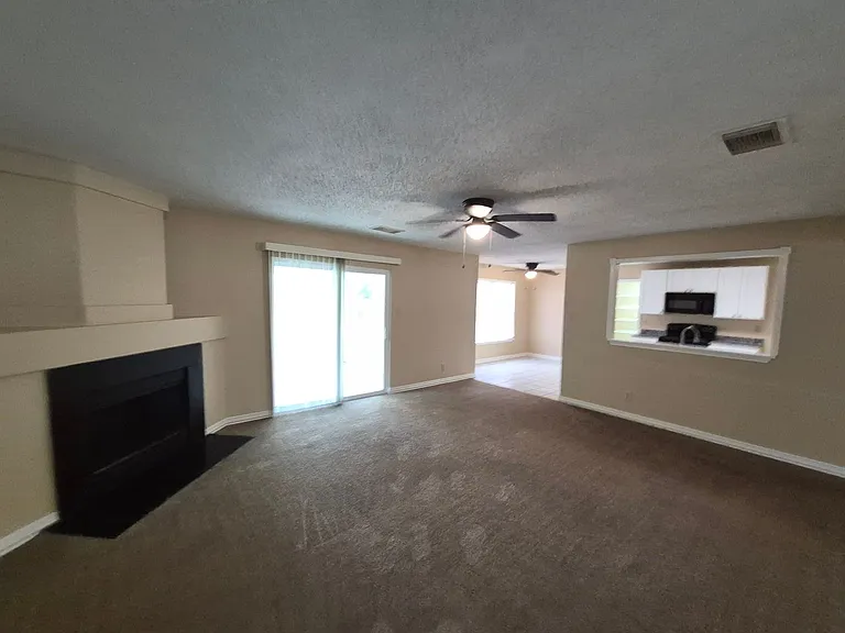 8007 Chestnut Bluff Dr — Photo 6