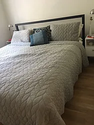 Rented by Bold New York