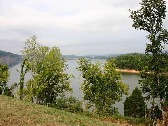 Image 3: TL Lot #39 West view