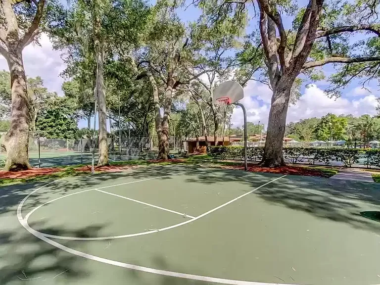 Basketball and tennis _11132022