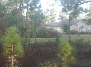 20107 Starry St, Orlando, FL 32833