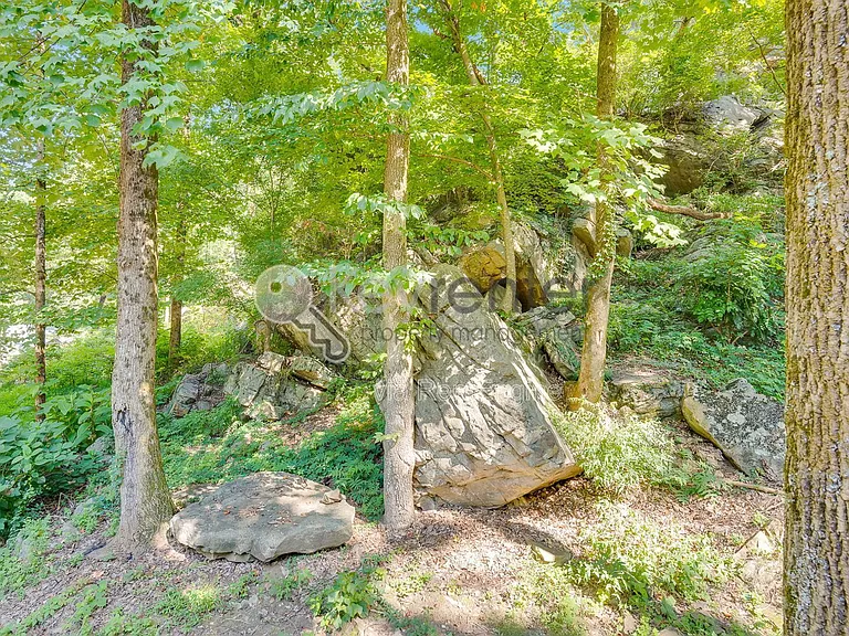 1461 Palisades Rd — Photo 16