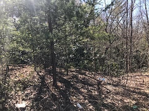 2nd image of 12 Lexy Ln Lot 12