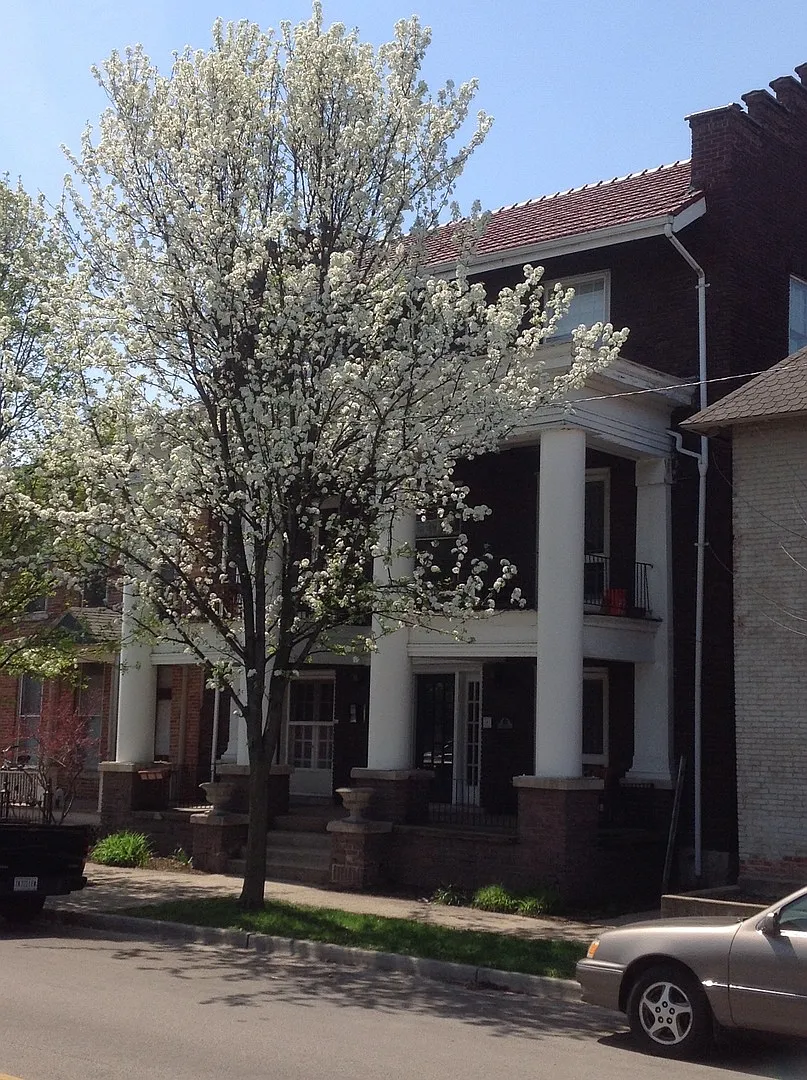 Historic 1 Bedroom Downtown — Photo 2