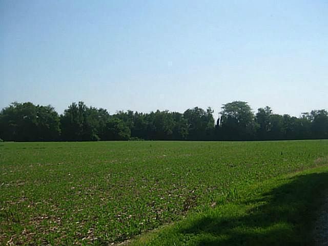 2nd image of 5090 Hendron Rd