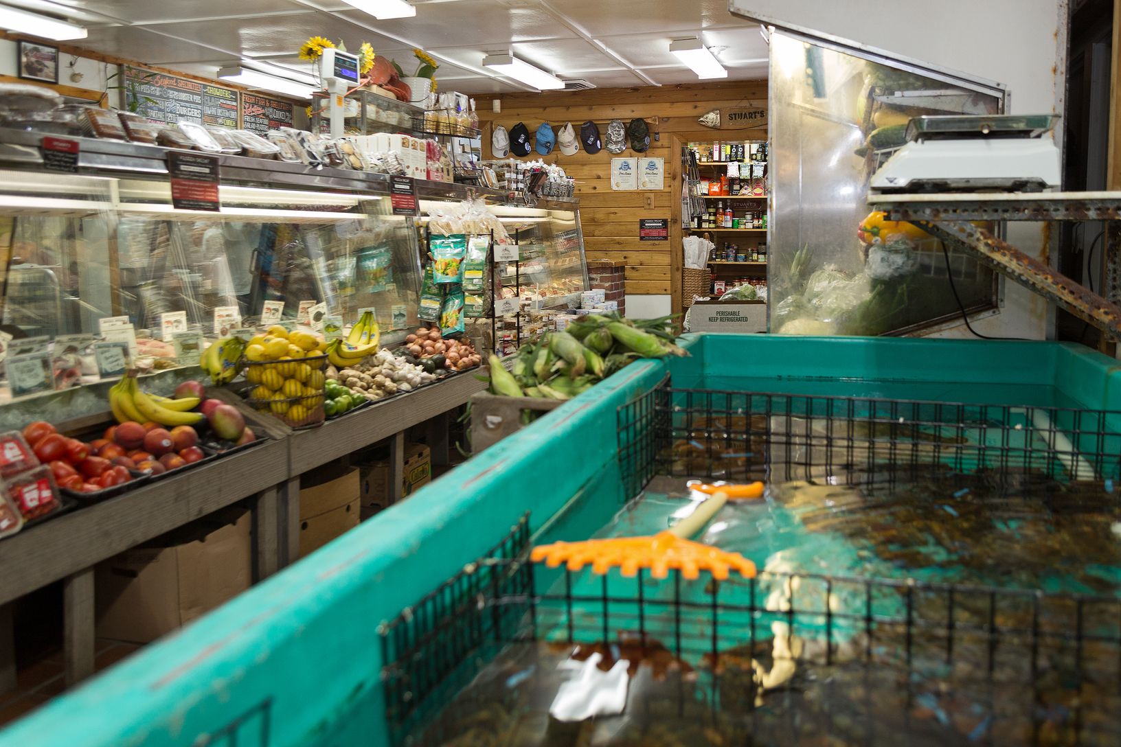 Lobster holding tanks