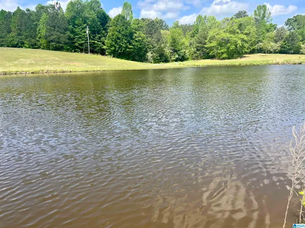 LOT 1 Mary Dr #1, Roanoke, AL 36274