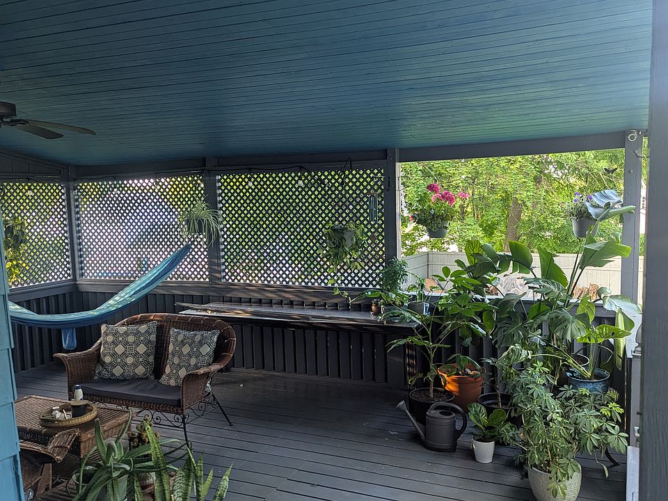 Rear shared porch filled with plants