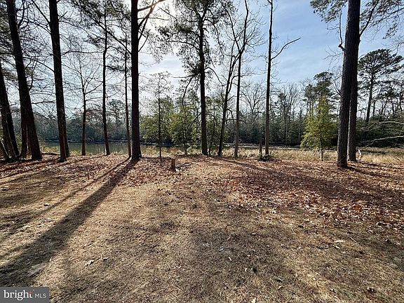 5th image of 28 S Glebe Rd