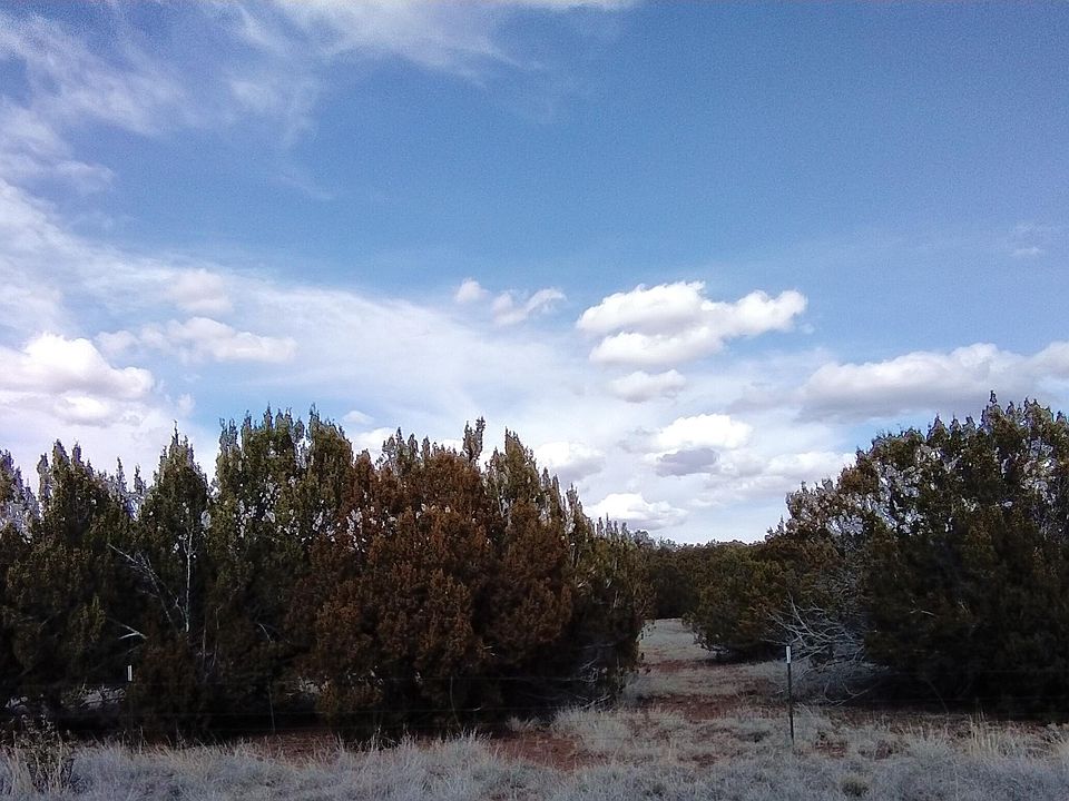 2nd image of 1939 Bourdon Ranch Rd