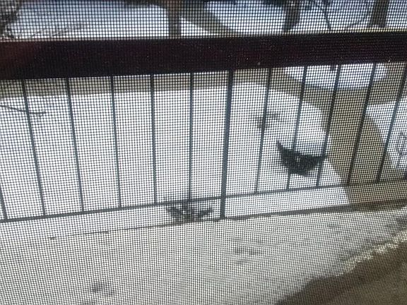 5th image of 599 Old West Central St APT D8