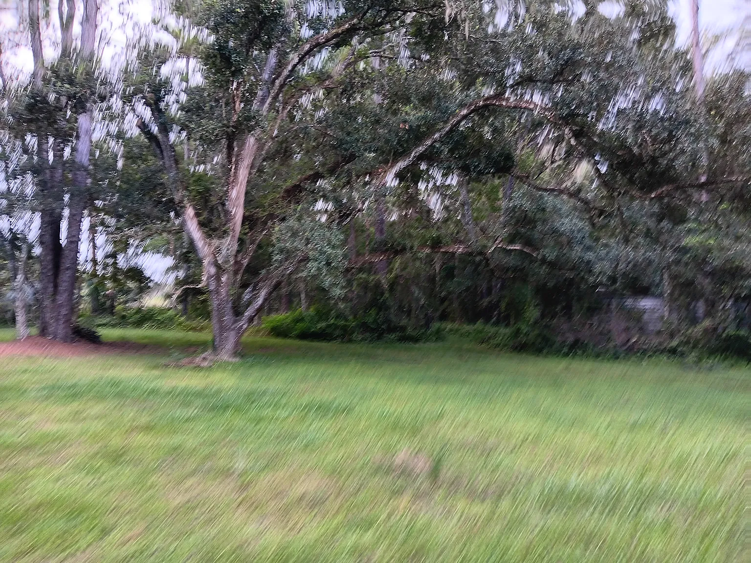 3 bed, 1728 sqft, $2,150 — Photo 4