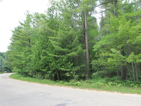 Evergreen Dr, Grayling, MI 49738