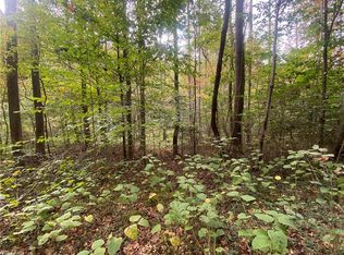 0 Bear Hollow Ln, North Wilkesboro, NC 28659