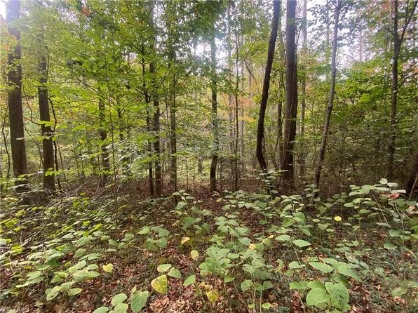 0 Bear Hollow Ln, North Wilkesboro, NC 28659