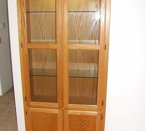 Built in Cabinets in the Living Room