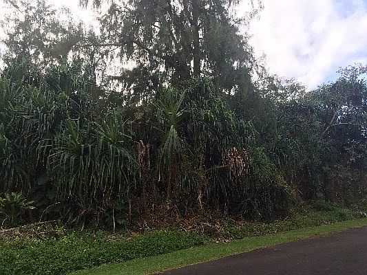 2nd image of Puni Lapa St E Lot 1936