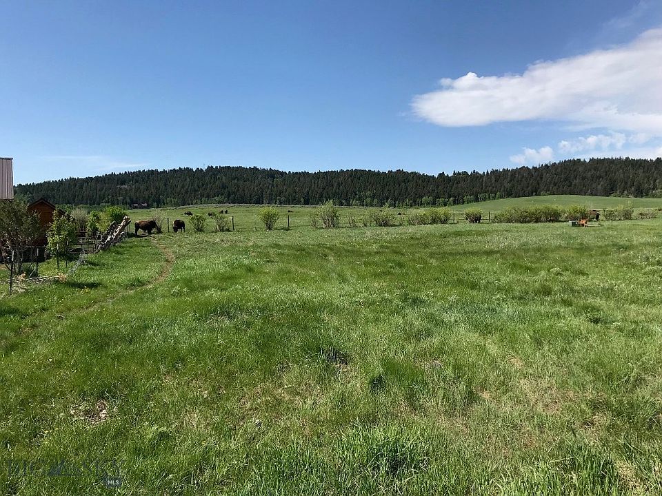2nd image of Tbd Grizzly Bear Loop