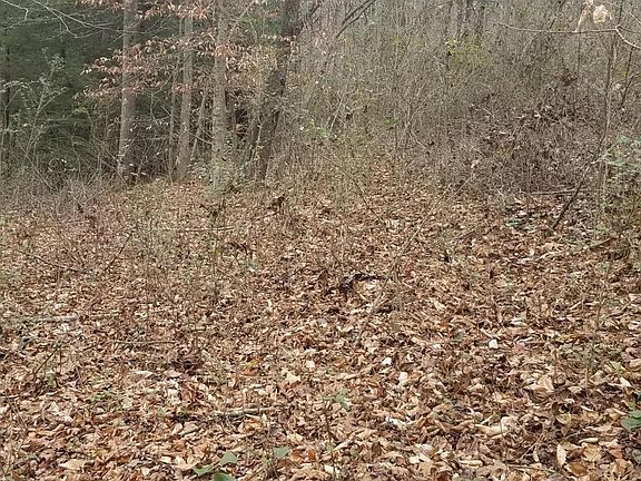5th image of 1439 Hwy 25w S