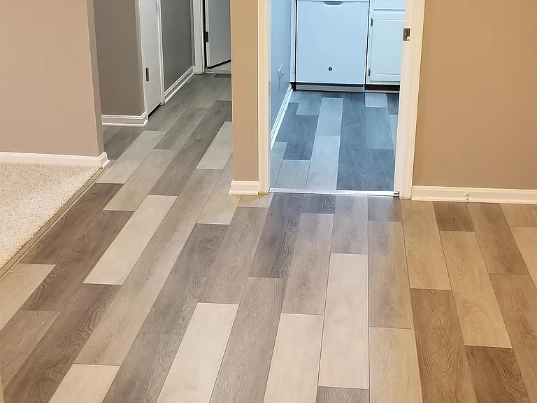 Entry way/dining room