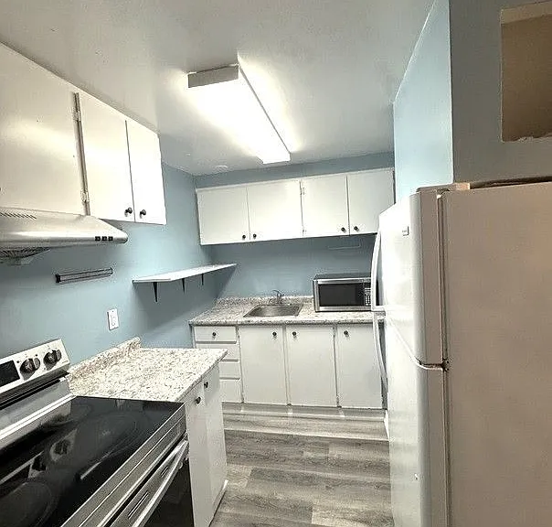 868 Chapleau Dr #BASEMENT — Photo 7