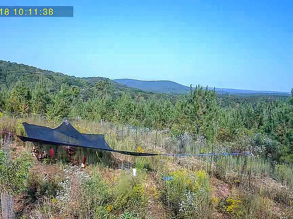 3rd image of 723 Brown Creek Rd
