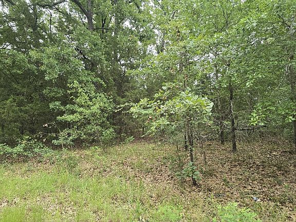 3rd image of LOT 1007 Kickapoo Trl