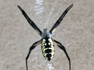 8810 Vidal Rd SW, Albuquerque, NM 87105