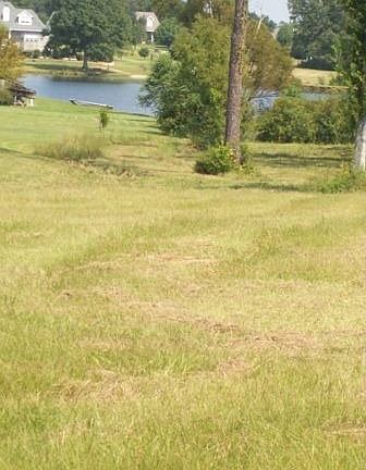 Lot view