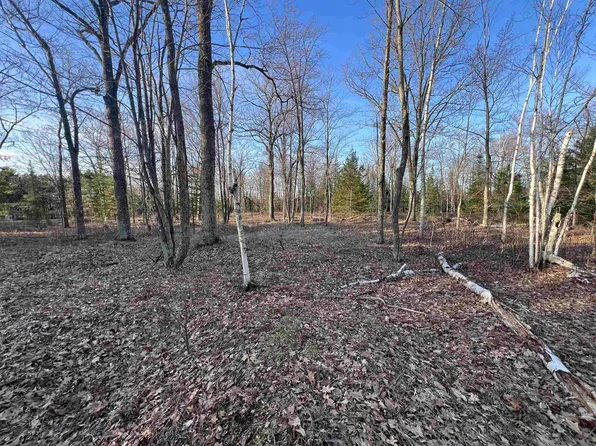 Nejedlo Rd #1, Wausaukee, WI 54177