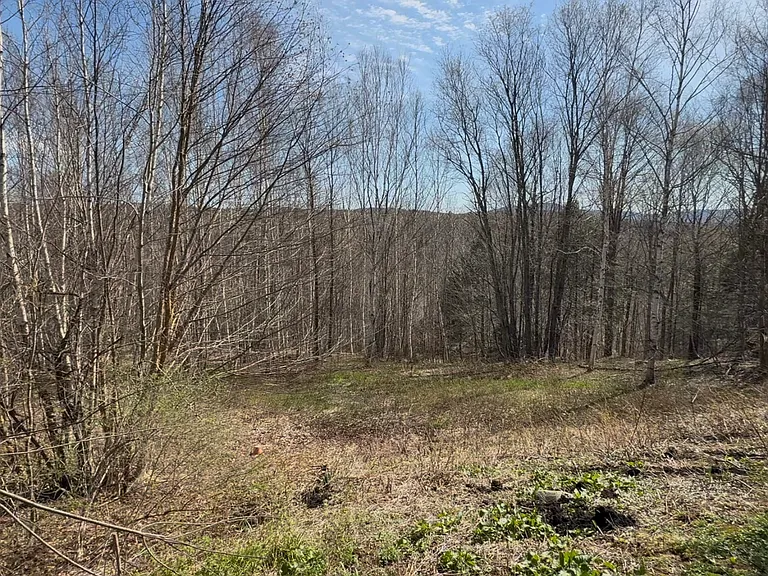 1957 Sterling Valley Rd #2 — Photo 12