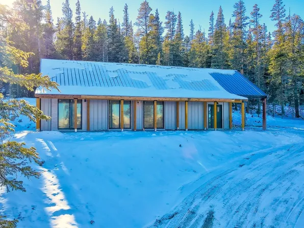169 Puma Place, Fairplay, CO 80440