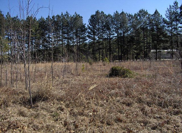 2nd image of LOT 23 #24-25