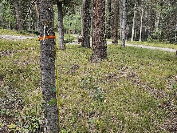 5th image of 764 Deer Trail