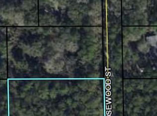 1102 Rosewood St, Bunnell, FL 32110