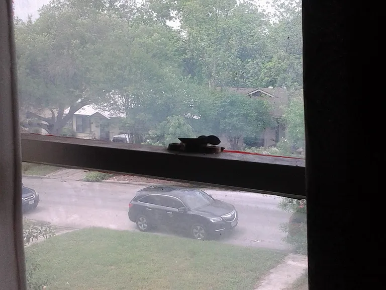 second story view