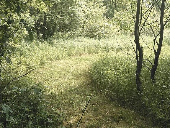 5th image of 0 Forest Shores Dr