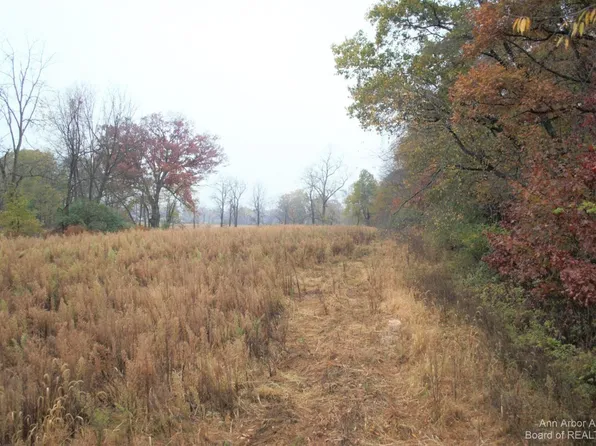 0 Dexter Ann Arbor Rd, Dexter, MI 48130