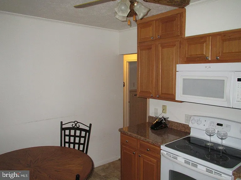 955 Terrace Ln — Photo 3