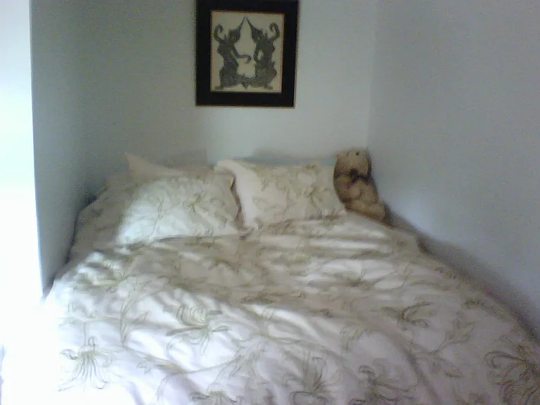 2618 Saint Paul St #3 — Photo 15